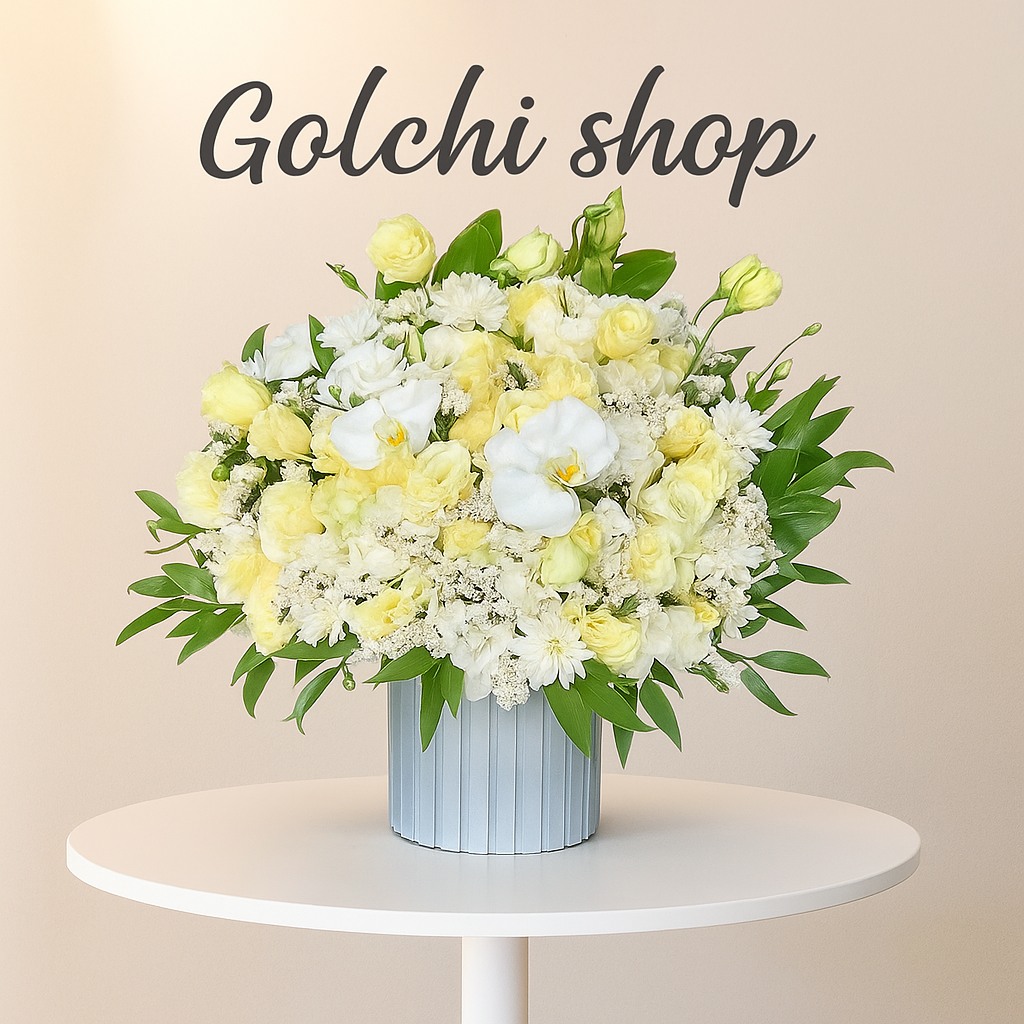 Compress_20251118_151230_0935