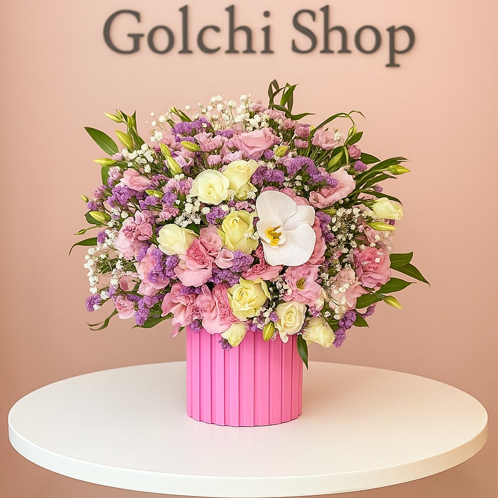 Compress_20251118_151231_1462