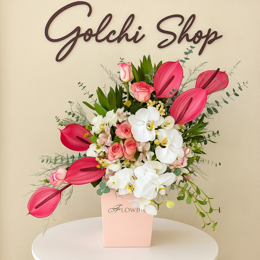 Compress_20251118_151231_1892