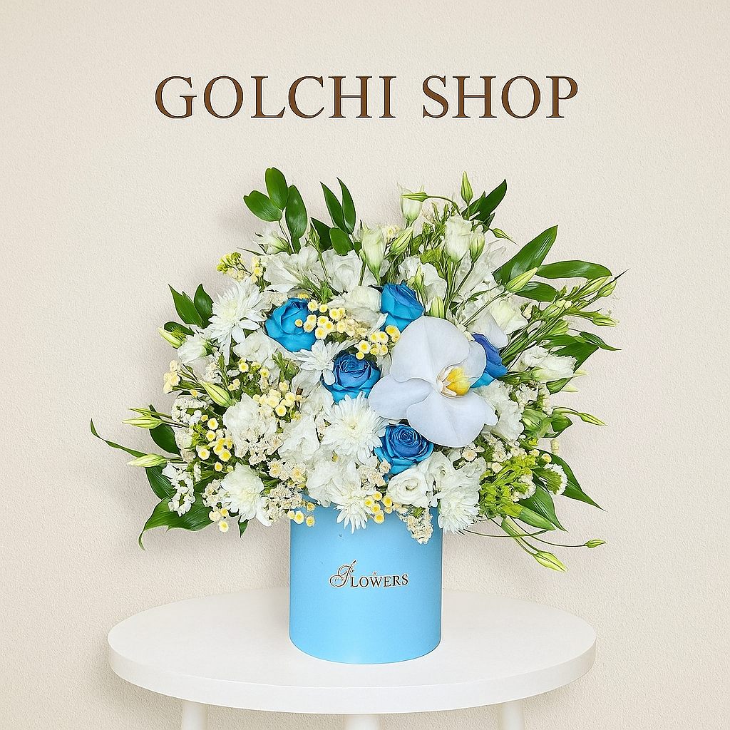 Compress_20251118_151247_7449