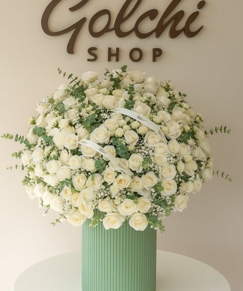 Compress_20251118_151245_5118