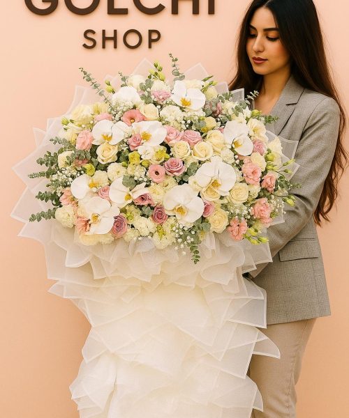 Compress_20251118_151245_5791