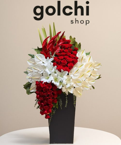 Compress_20251118_151246_6779