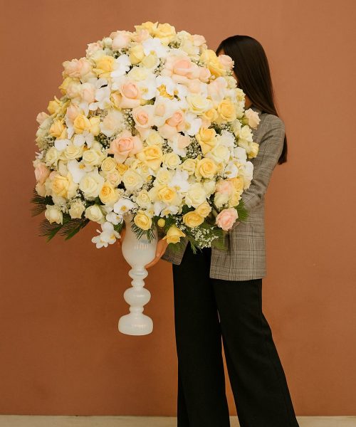 Compress_20251118_151246_6995