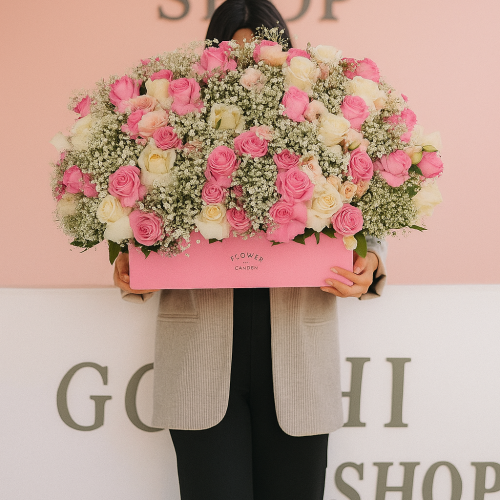 IMG_20250816_150856_284 IMG_20250816_150856_284