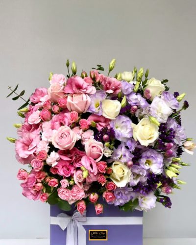 WhatsApp Image 2023-12-27 at 10.11.43